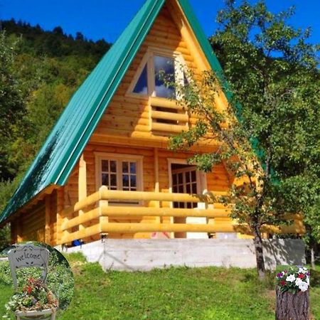 Etno House Bajka Villa Žabljak Kültér fotó